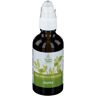 Bioholistic De Saint Hilaire Biologisches Pflanzenöl Jojoba 50 ml