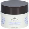 YVB Umami Fresh Leaves Rich Body Cream Menthe du Japon & Gingembre 250 ml