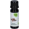 Oak ätherisches Nelken-Öl BIO 10 ml