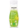 Weleda Express-Feuchtigkeit Körperlotion Citrus - zieht schnell ein, für alle Hauttypen 200 ml