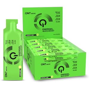 QNT Energel Limette 1.375 l