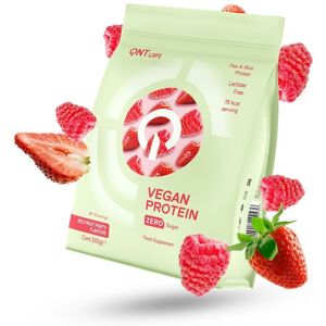 Qnt® Vegan Protein Rote Früchte 0.5 kg