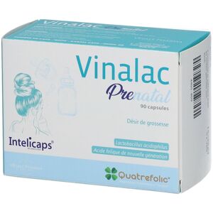 Vinalac Prenatal Schwangerschaftswunsch 90 ct