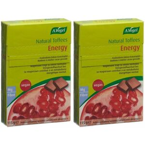 A.Vogel Natural Tofees Energy 230 g