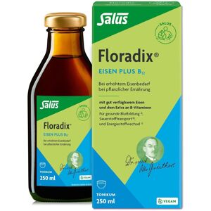 Salus® Floradix® Eisen plus B12 vegan 250 ml