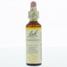 Bach Bloesem Bach®-Blüte Scleranthus (Einjähriger Knäuel) 20 ml