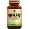 Solgar® Bilberry Berry Extract with Blueberry 60 ct