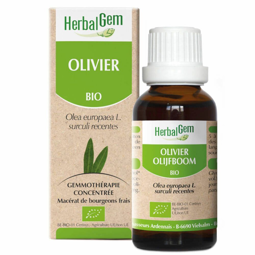 HerbalGem Olivenbaum Bio