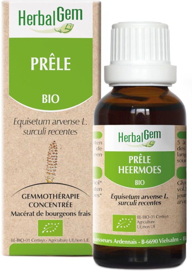 HerbalGem Acker-Schachtelhalm Bio