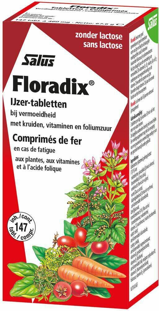 OMEGA PATCH Floradix® Eisentabletten