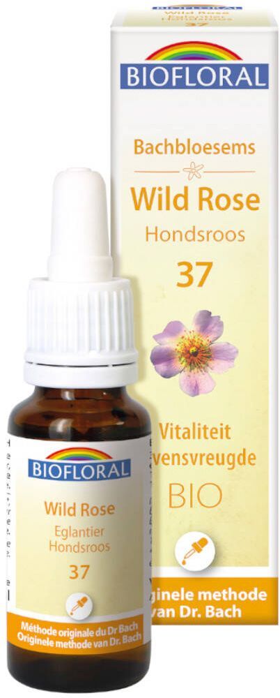 PRANAROM INTERNATIONAL Biofloral Wilde Rose - Hagebutte