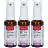 Alpinamed Vitamine B12 Trio Kinder Spray doseur 90 ml