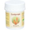 ALLPHARM Cordyceps sinensis 100 ct