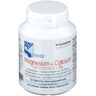 Schneider Magnesium + Calcium 90 ct