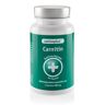 aminoplus® carnitin 60 ct