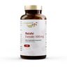 vitaworld Reishi Extrakt 500 mg 100 ct