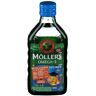 MÖLLER'S Möllers Omega 3 Kids 250 ml