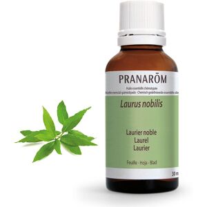 Pranarôm Pranarom Ätherisches Lorbeeröl 30 ml