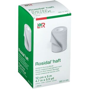 Lohmann & Rauscher Rosidal® Haft 12 cm x 5 m 1 ct