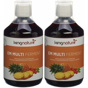 kingnature AG kingnature EM Multi Ferment 1 l