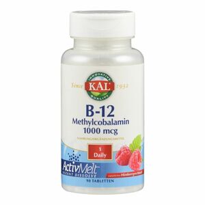 no brand B-12 Methylcobalamin 1000 mcg 90 ct