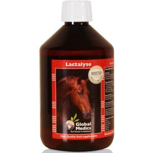 Global Medics Lactalyse 0.4 l