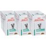 Royal Canin® Diabetiker-Chat 3.06 kg