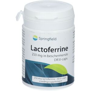 SPRINGFIELD NUTRACEUTICALS Springfield Laktoferrin 60 ct