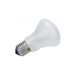 ELINCHROM lampe pilote 100W E27 ELINCHROM lampe pilote 100W E27