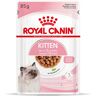 24x 85g Kitten in Sosse Royal Canin Nassfutter für Katzen