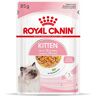 96x 85g Kitten in Gelee Royal Canin Nassfutter für Katzen