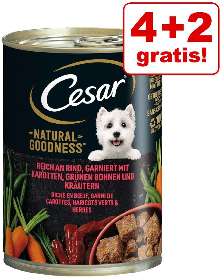 Cesar 6x 400g Natural Goodness Rind Cesar Hundefutter Nass - 4+2 gratis!