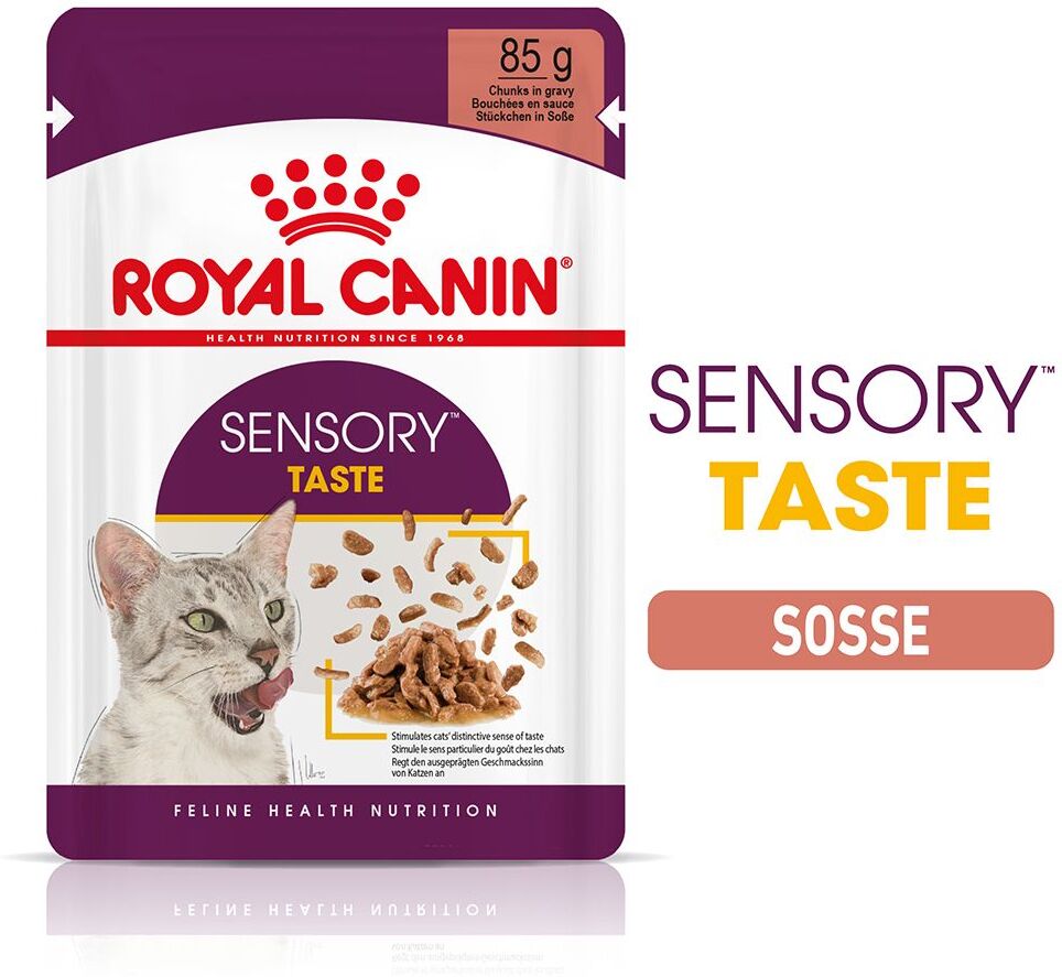 Royal Canin 96x 85g Sensory Taste in Sosse Royal Canin Katzenfutter nass