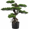 Creativ green Kunstbonsai »Bonsai« grün Größe