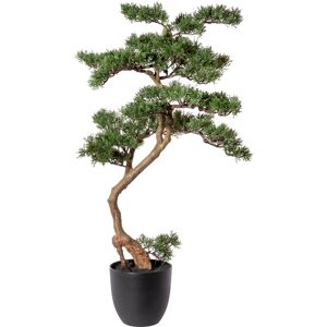 Creativ green Kunstbonsai »Bonsai Zeder« grün Größe