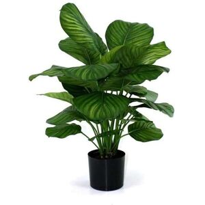 Botanic-Haus Kunstblume »Calathea 80 cm« Grün Größe