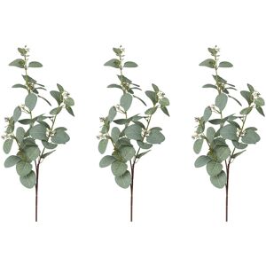 Creativ green Kunstzweig »Eukalyptuszweig« grün Größe