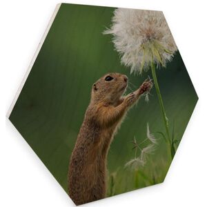 Wall-Art Holzbild »Eichhörnchen Holzbild Blumen«, (1 St.) mehrfarbig Größe