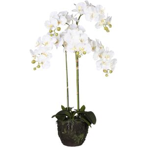 Creativ green Kunstorchidee »Phalaenopsis«, im Ballen weiss Größe