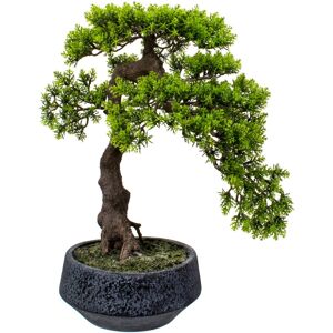 Home affaire Kunstbonsai »Louvenne« grün Größe