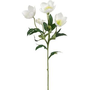 Botanic-Haus Kunstblume »Christrosen 3-er Set, 62 cm, Weiss« Weiss Größe