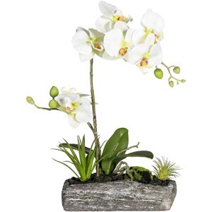 Creativ green Kunstpflanze »Phalaenopsis« grün Größe