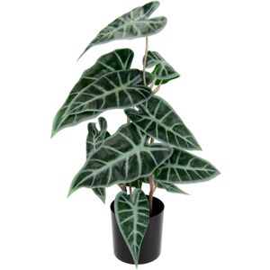 I.GE.A. Kunstpflanze »Calathea« grün Größe