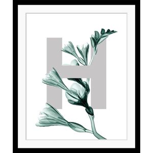 queence Bild »H-Flower«, Buchstaben, Blätter, gerahmt, Blume schwarz Größe