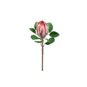 Botanic-Haus Kunstblume »Protea« grün Größe