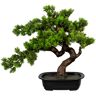 Creativ green Kunstbonsai »Bonsai« grün Größe