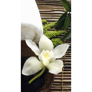 Wall-Art Vliestapete »asiatische Wellness Orchidee«, made in Berlin bunt Größe B/L: 1,44 m x 2,6 m