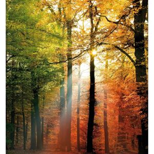 Wall-Art Vliestapete »Goldfarbenener Herbst Deko« bunt Größe B/L: 2,4 m x 2,6 m