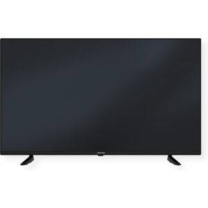 LED-Fernseher »Grundig TV 55 VCE 222, 55