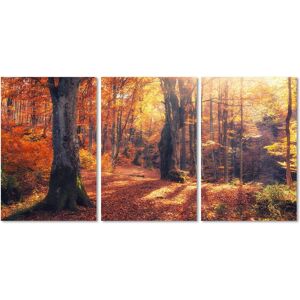 queence Acrylglasbild »Herbstwald 3-teilig«, Wald, (1 St.) braun Größe